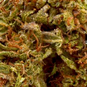 ARC-up-close.jpg ARC THCa Flower - 25.7%