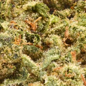 Indoor Apricot Mimosa Strain THCa Flower - 23%