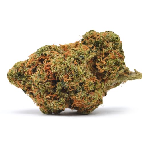 THCa Flower- Bird Turd - 32.9% THCa!