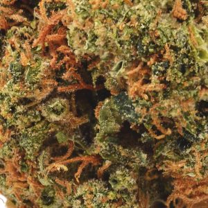 THCa Flower- Bird Turd - 32.9% THCa!
