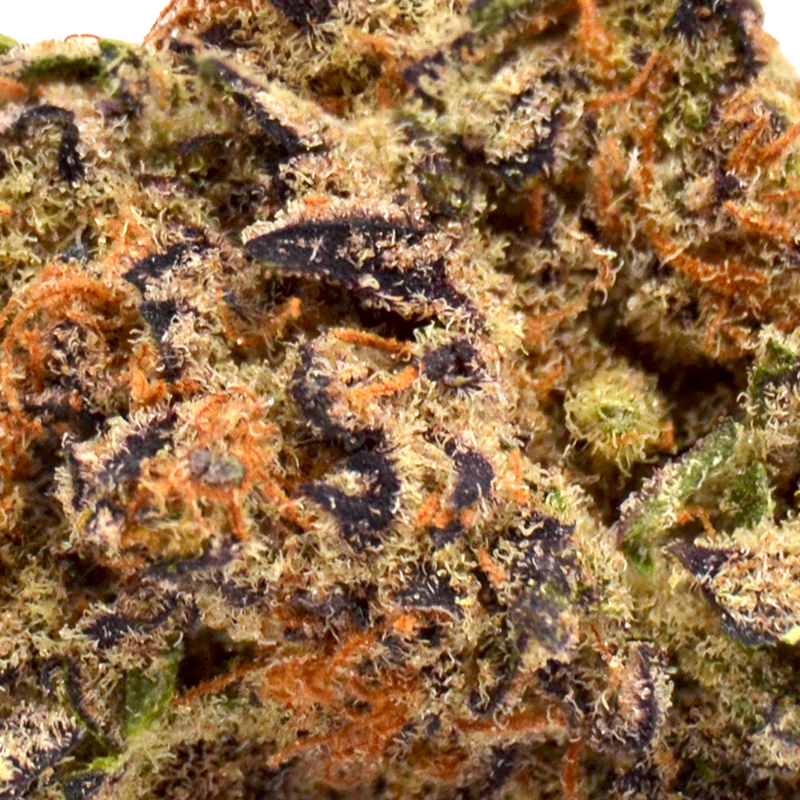 THCa Flower - Forbidden Fruit