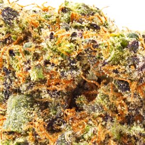 GG4 (Gorilla Glue 4) 32.44% THCa Strain