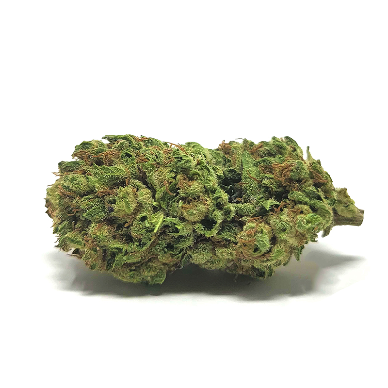 THCa Flower - Gary Payton Light