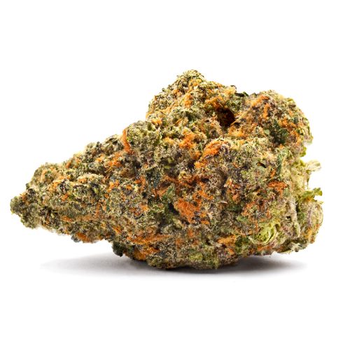 THCa Flower - Gelato Kush Mintz