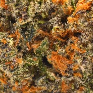 THCa Flower - Gelato Kush Mintz