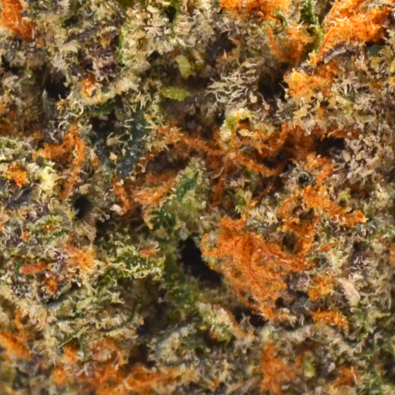 THCa Flower - Gelato Kush Mintz