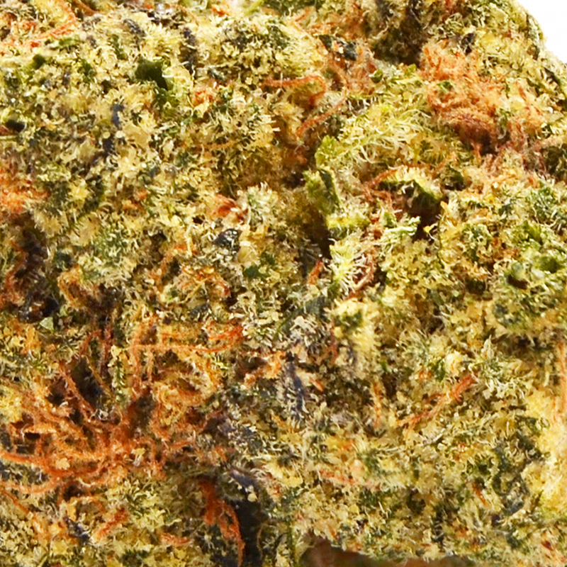 Lady-zaza4.jpg Lady Zaza Strain - 32.95% THCa