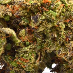 THCa Flower- Exotic Lemon Cherry Gelato