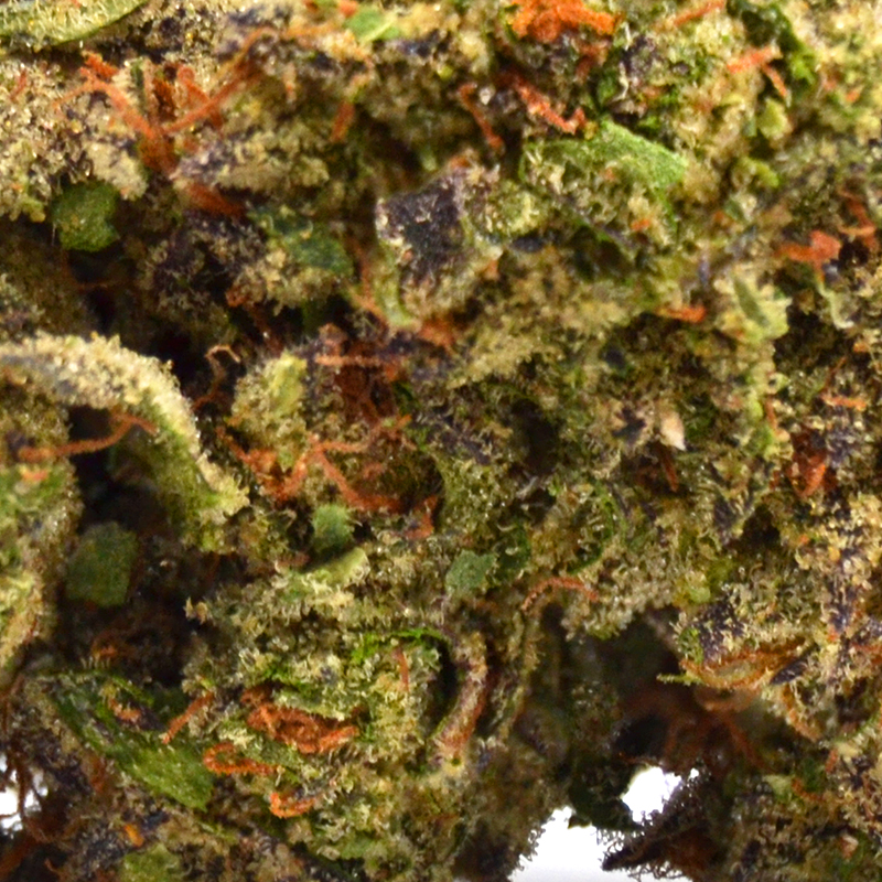 THCa Flower- Exotic Lemon Cherry Gelato