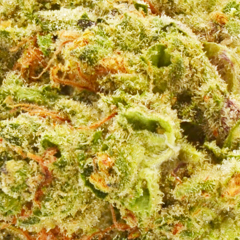 Papa Don THCa Flower - 28.3%