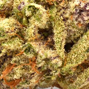 Purple Punch Strain THCA Flower -- 27% THCA