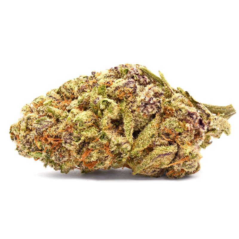 Purple Punch Strain THCA Flower -- 27% THCA