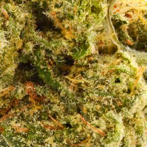 Slurricane Strain - 36% THCa