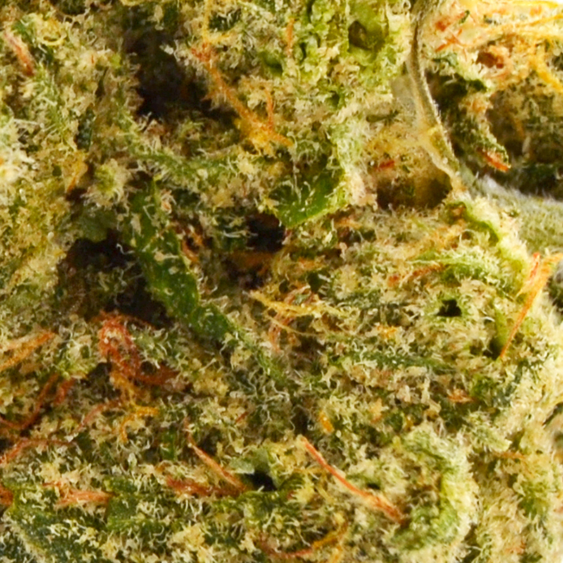 Slurricane Strain - 36% THCa