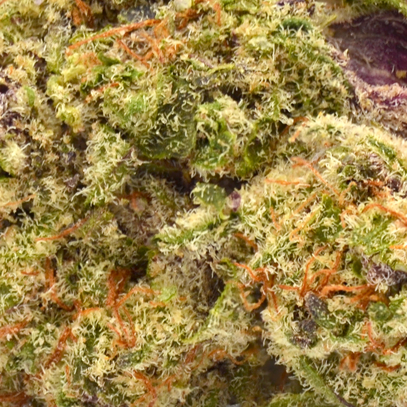 Zkittlez Strain THCA Flower -- 27% THCA