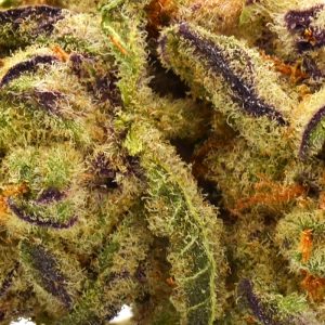 Baby Yoda - 25.4% THCa