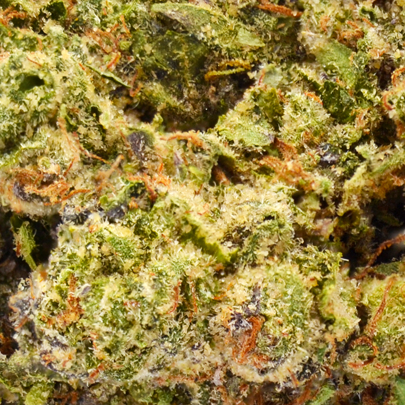 banana-cream1.jpg Banana Cream THCa Flower - 29% THCa