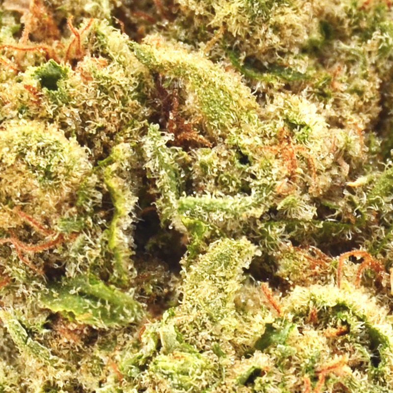 banana-kush0.jpg Banana Kush Strain - THCa 26.9%