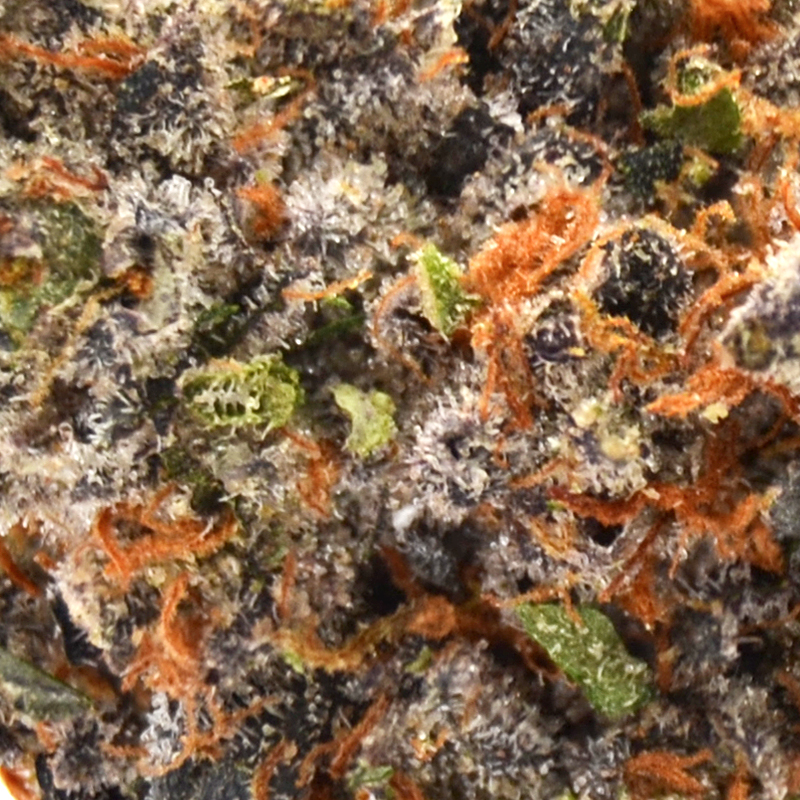 dantes2.jpg Dante's Wrath Strain - THCa 32%