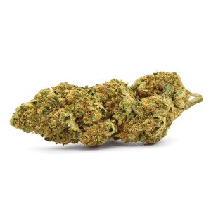 gelato-float2.jpg Gelato Float Strain