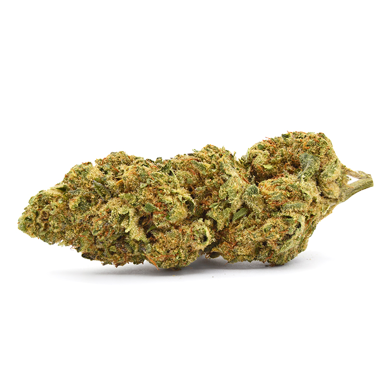 gelato-float2.jpg Gelato Float Strain