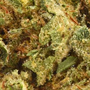 gelato-float3.jpg Gelato Float Strain