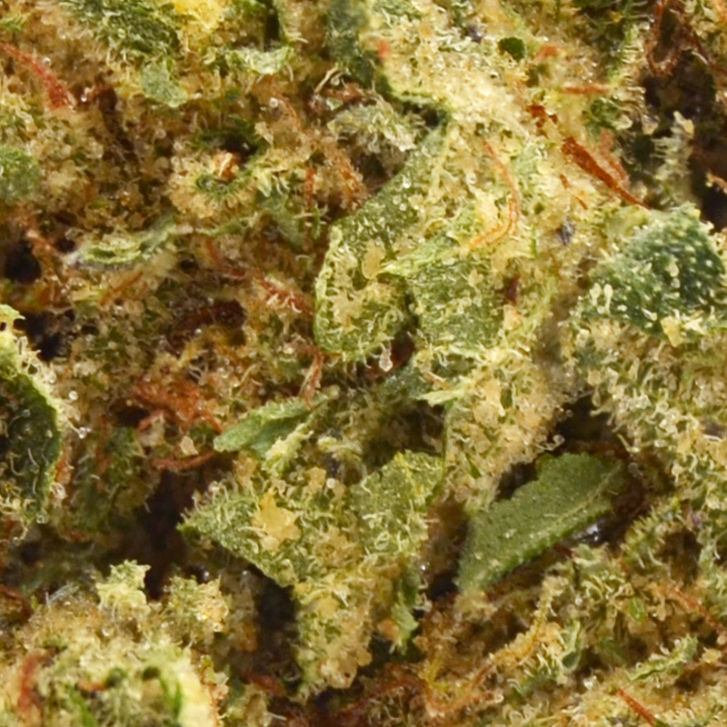 gelato-float3.jpg Gelato Float Strain