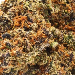 Gelato Runtz - 32.55%