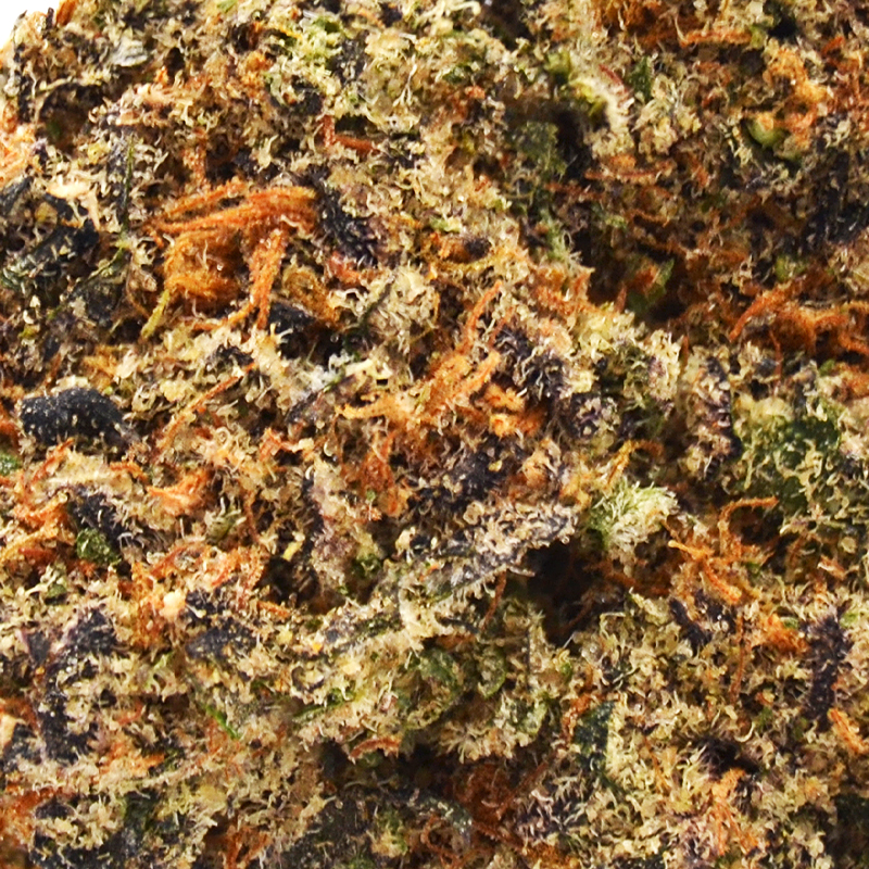 Gelato Runtz - 32.55%