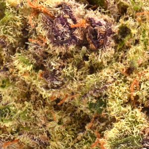 joker-strain-up-close.jpg Indoor Jokers Candy Strain - 38% THCa