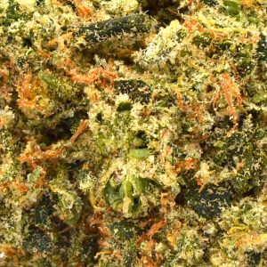 Magic Apple Strain - 36.79% THCa