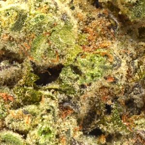 mango-mentality0.jpg Mango Mentality Strain - THCa