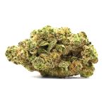 Mango Mentality Strain - THCa