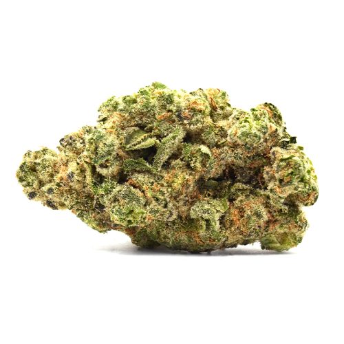 Mango Mentality Strain - THCa