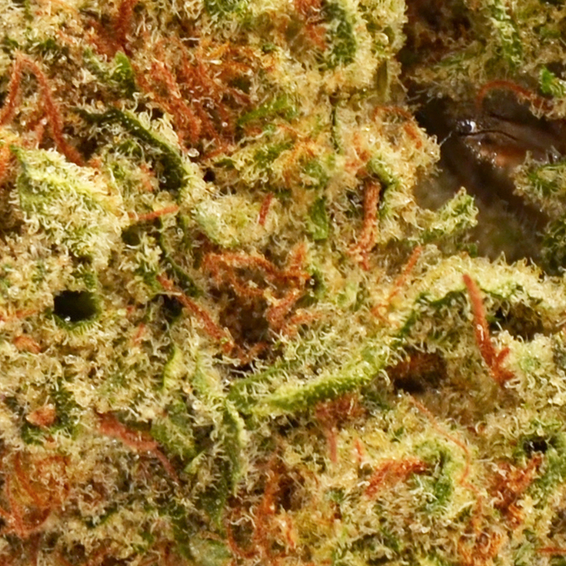 Papaya Punch Strain THCa Flower - 28%