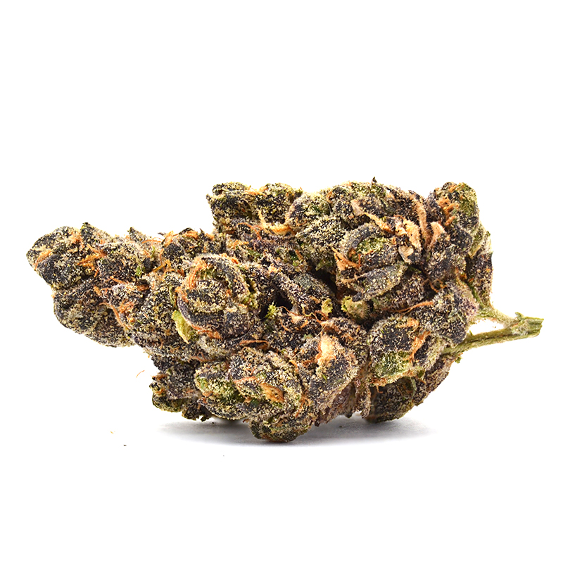 Purple Octane Strain - Indoor THCa Flower