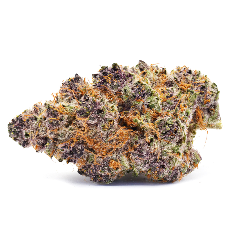 Tropical Cherry Strain - THCa