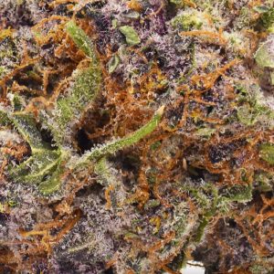 Tropical Cherry Strain - THCa