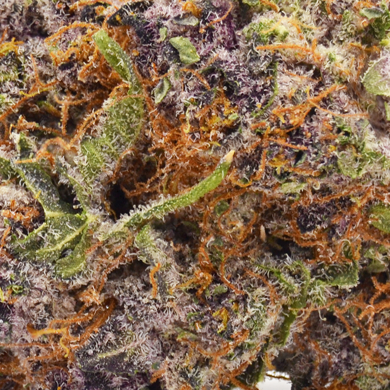 Tropical Cherry Strain - THCa