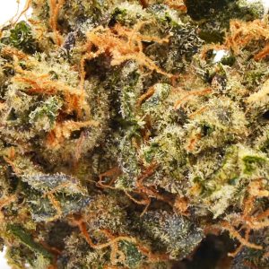 Dior Runtz Strain THCA Flower -- 30.98% THCA