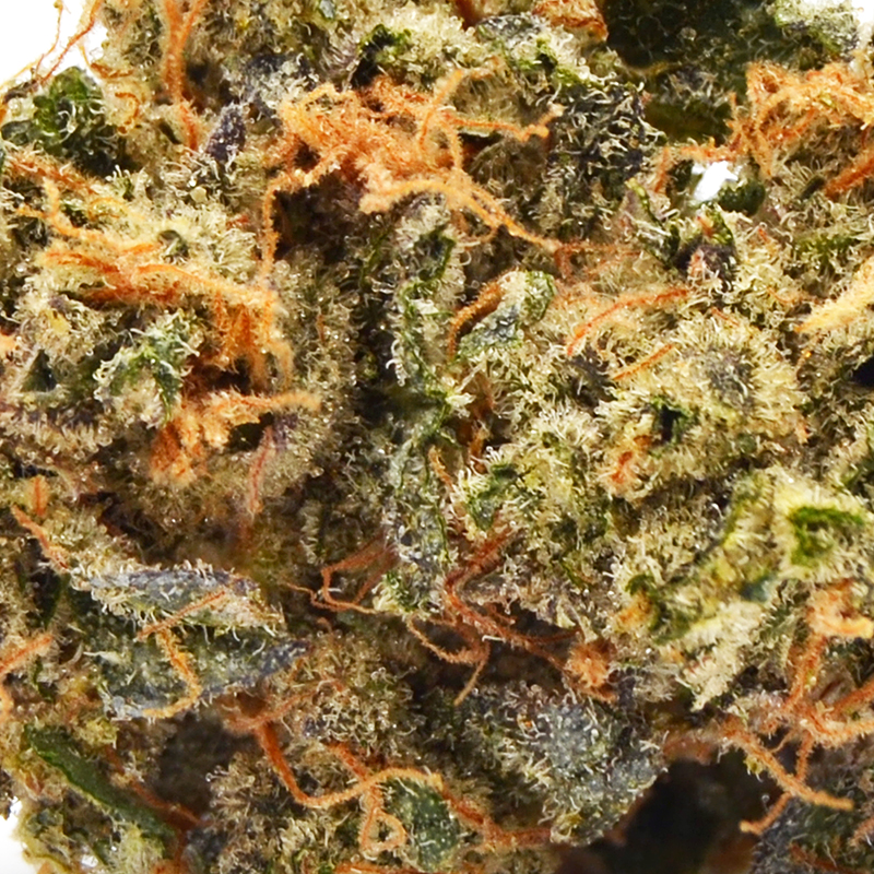 Dior Runtz Strain THCA Flower -- 30.98% THCA