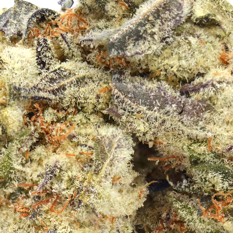 White Devil THCa Flower